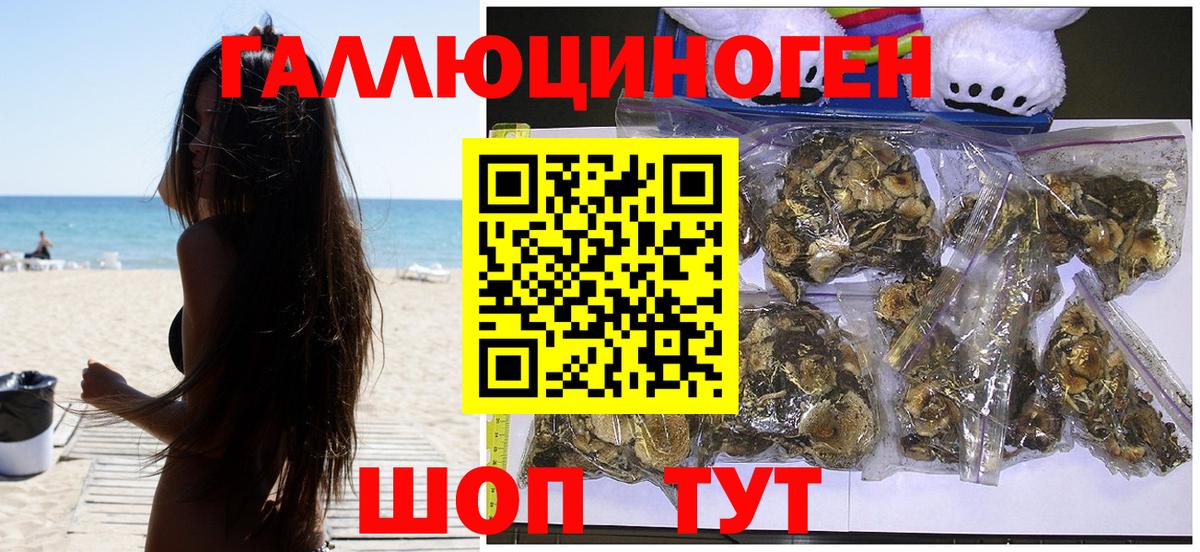 Красный Сулин  Псилоцибиновые грибы мухоморы  Вход с VPN 