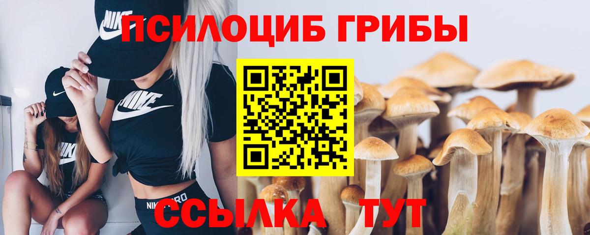 Псилоцибиновые грибы Psilocybe Красный Сулин